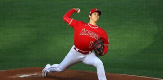 Llegamos a mitad de temporada… aquí te contamos lo más interesante.